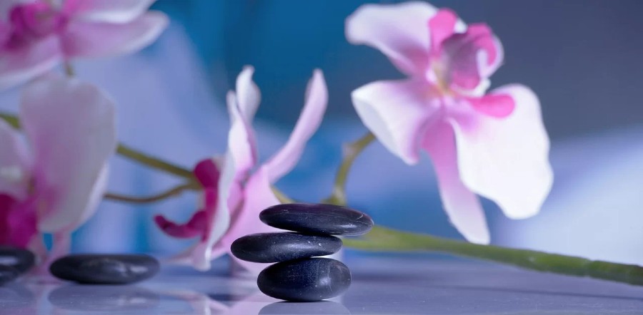 massage-bild-pa-massagestenar-och-lotusblommor-täby
